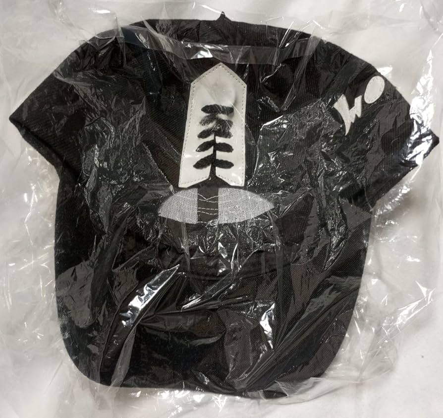 Amazon.co.jp: 武士 BUSHI プロレス キャップ ロスインゴ 内藤